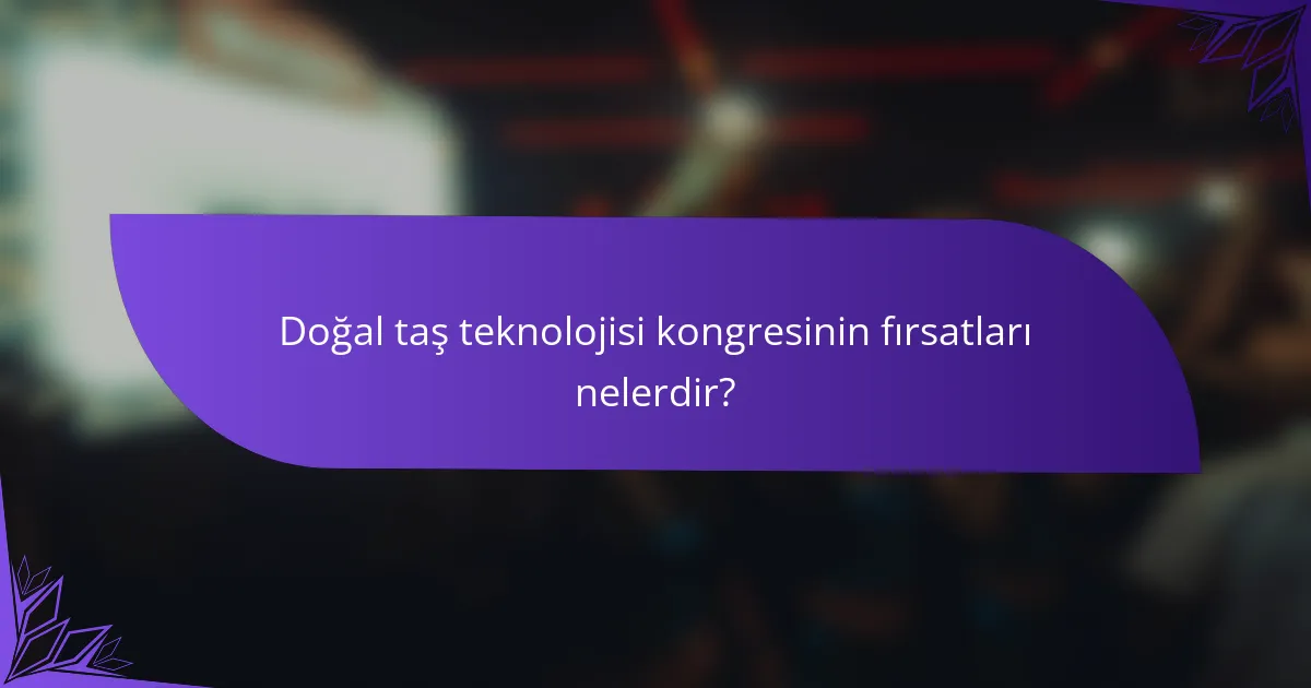 Doğal taş teknolojisi kongresinin fırsatları nelerdir?