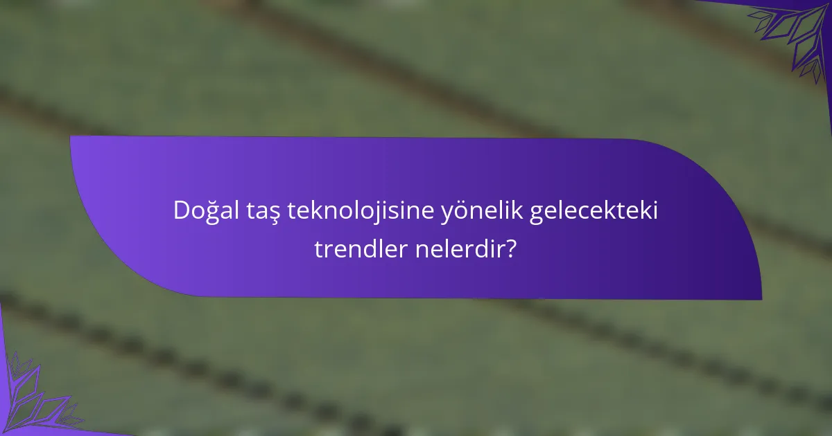 Doğal taş teknolojisine yönelik gelecekteki trendler nelerdir?