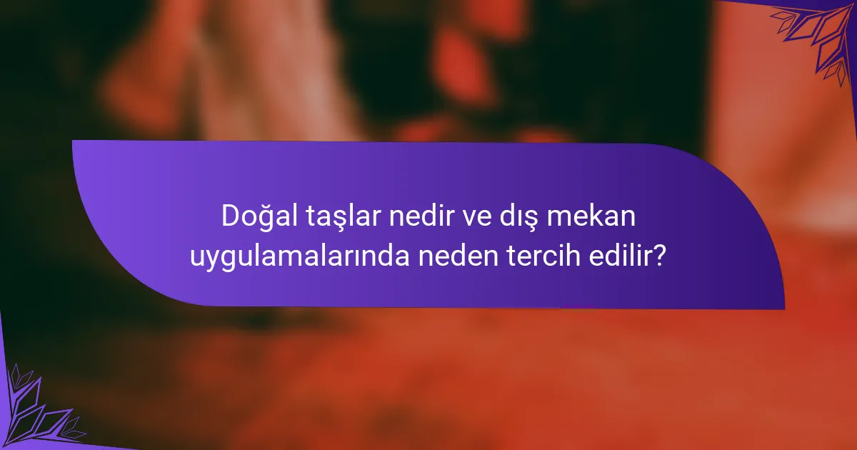 Doğal taşlar nedir ve dış mekan uygulamalarında neden tercih edilir?