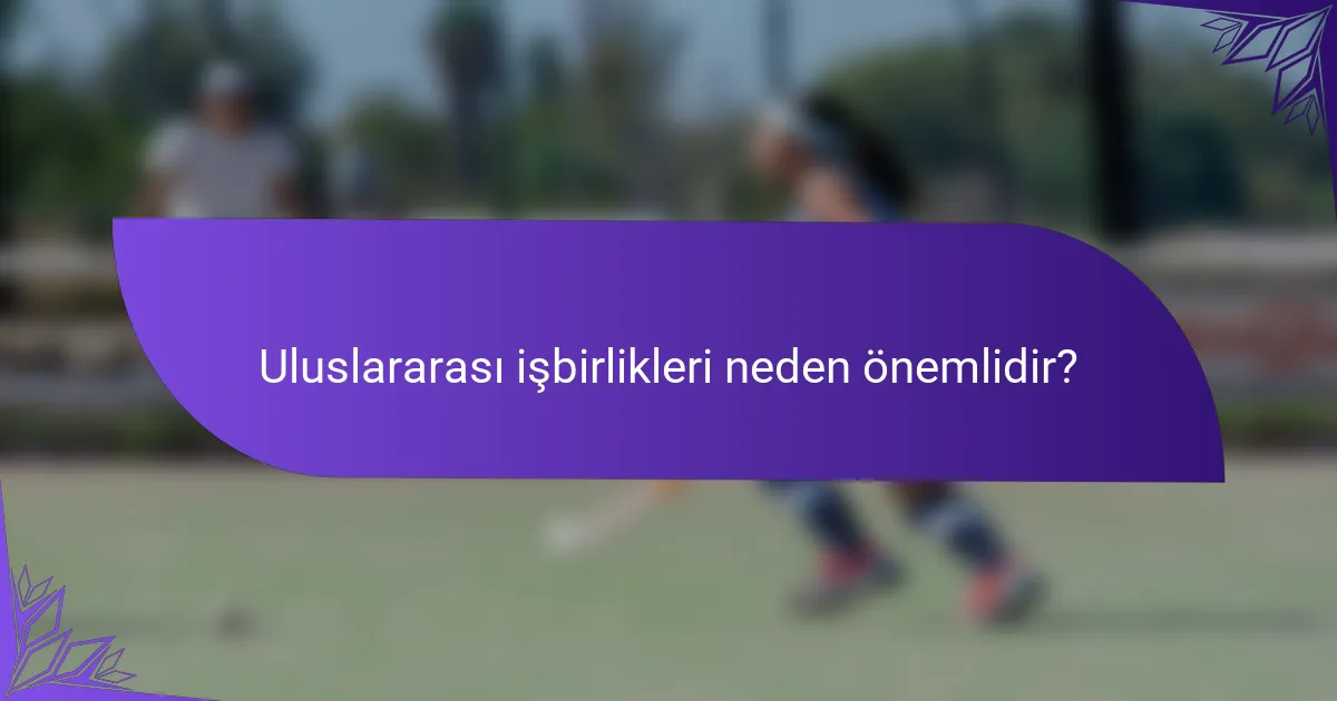 Uluslararası işbirlikleri neden önemlidir?